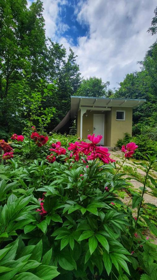 The Bungalow Brasov Ngoại thất bức ảnh