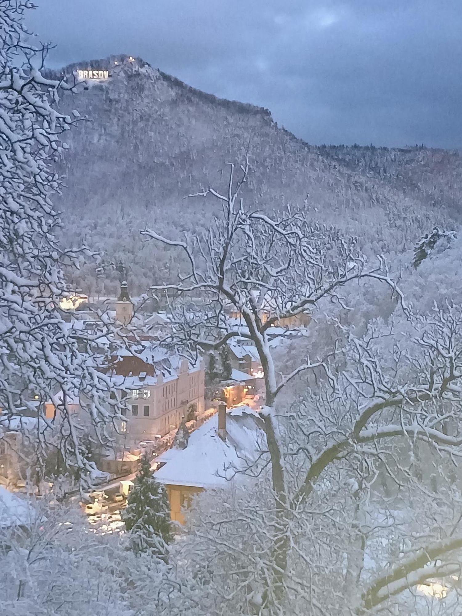 The Bungalow Brasov Ngoại thất bức ảnh