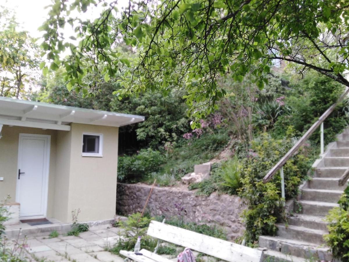 The Bungalow Brasov Ngoại thất bức ảnh